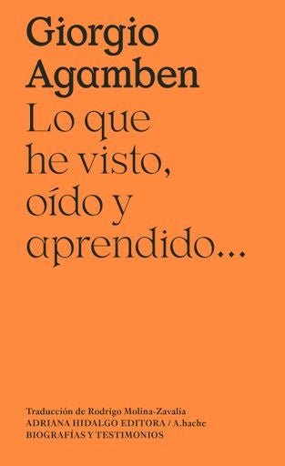 Lo que he visto, oído y aprendido... | Giorgio Agamben