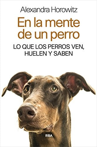 En la mente de un perro | Alexandra Horowitz