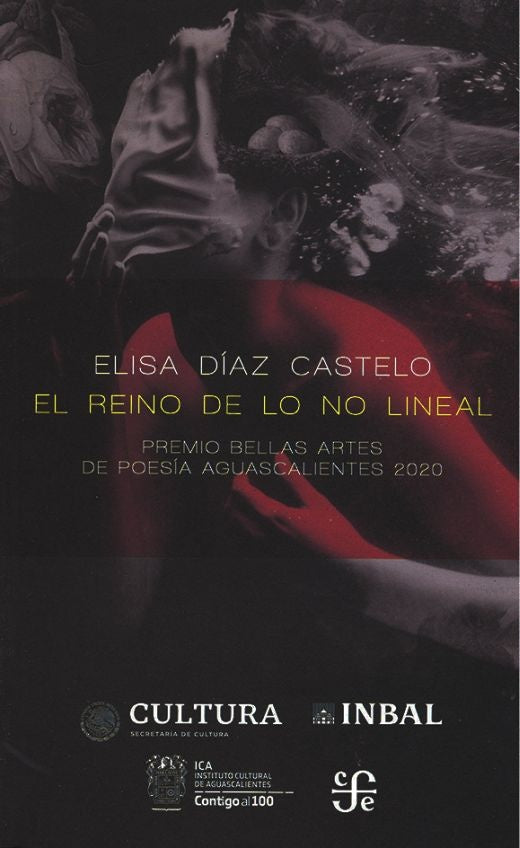 El reino de lo no lineal | Elisa Díaz Paniagua
