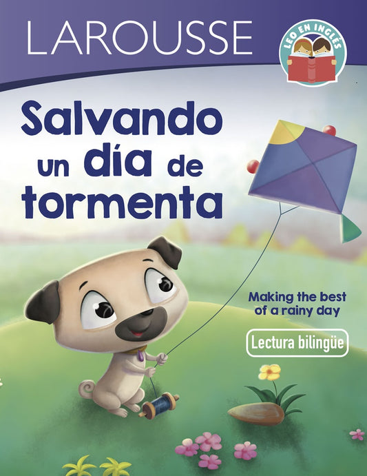 Salvando un día de tormenta | Nandika Chand