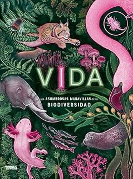 Vida | Jennifer N.R. Smith