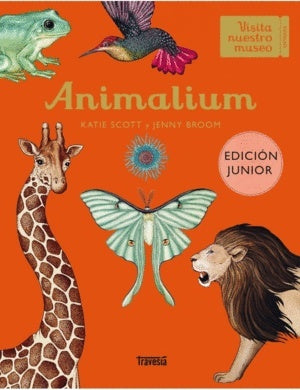 Animalium (Junior Edition)