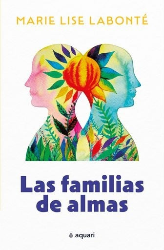 Las familias de almas | Marie Lise Labonté