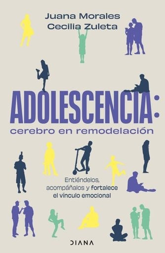 Adolescencia: cerebro en remodelación | Cecilia Zuleta