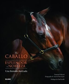 El caballo. Esplendor y nobleza | Tamsin Pickeral