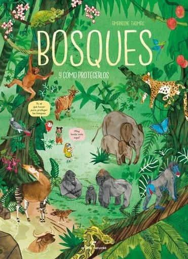 Bosques... y cómo protegerlos | Amandine Thomas