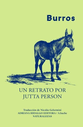 Burros | Person Jutta