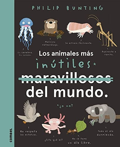 Los animales más inútiles del mundo | Philip Bunting