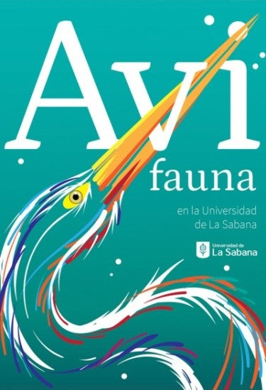 Avifauna | Angélica Paola Zapata Pardo