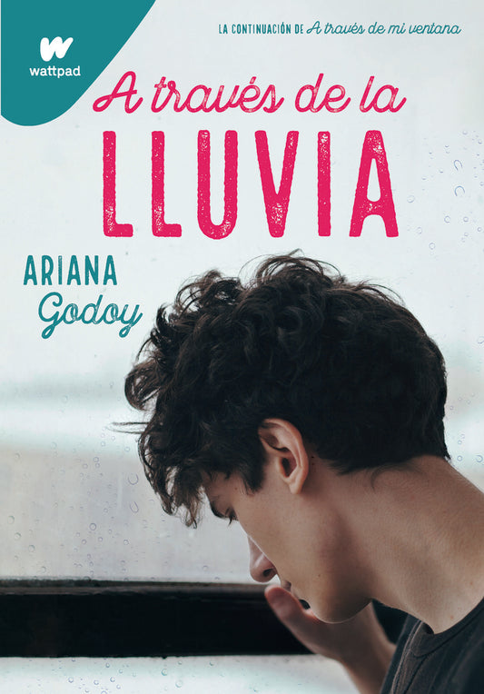A través de la lluvia | Ariana Godoy