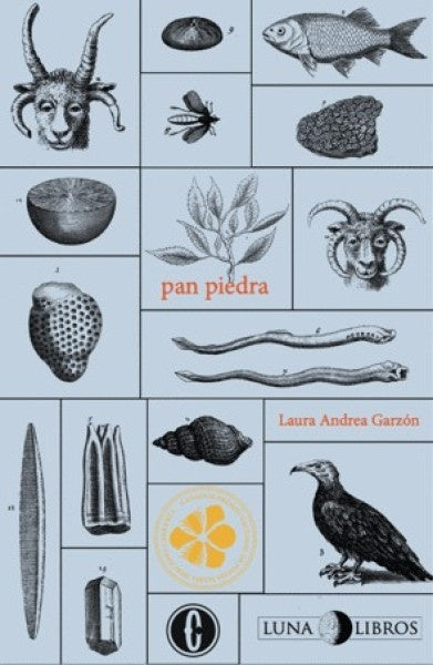 Pan piedra | Laura Andrea Garzón