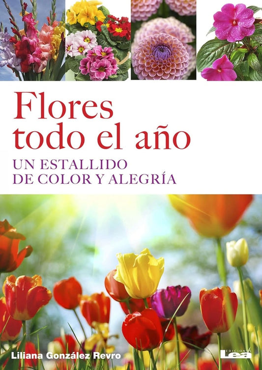 Flores todo el año | Liliana González Revro