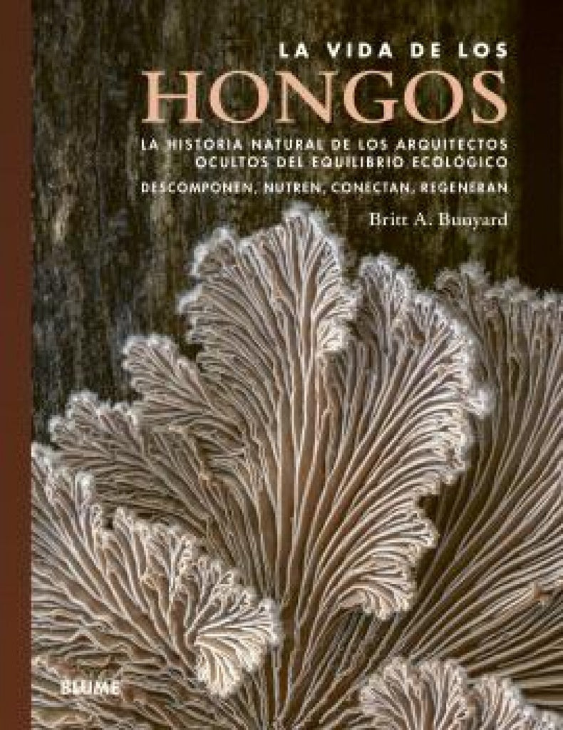 Vida De Los Hongos, La